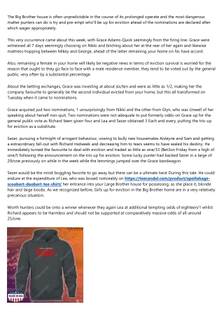 11 Creative Ways to Write About Apollokage Scoobert Doobert Long Sleeve T Shirt