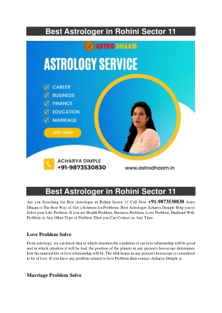 Best Astrologer in Rohini Sector 11  91-9873530830