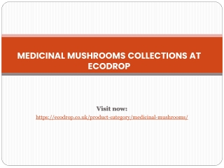 Medicinal Mushrroms Collections With Essential Oils