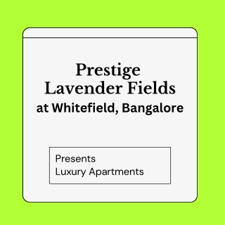 Prestige Lavender Fields at Whitefield, Bangalore E brochure