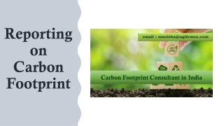 Reporting on Carbon Footprint