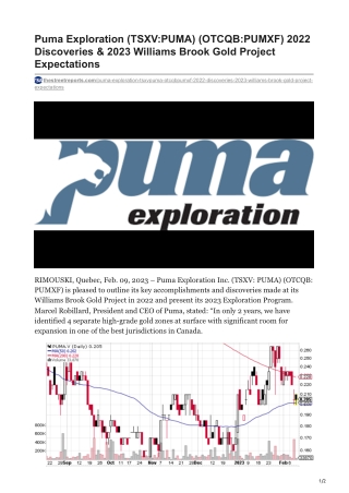 Puma Exploration (TSXV-PUMA) (OTCQB-PUMXF) 2022 Discoveries & 2023 Williams Brook Gold Project Expectations