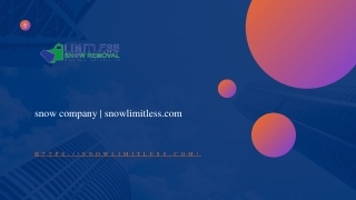 snow company  snowlimitless.com