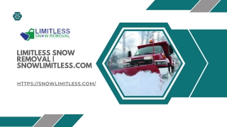 snow company  snowlimitless.com (1)
