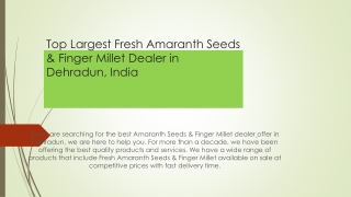 Amaranth Seeds Manufacturer & Exporter Company in Dehradun - Feb 2023