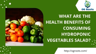 What Are The Health Benefits of Consuming Hydroponic Vegetables Salad