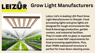LED Plant Grow Light Manufacturers In Sharjah | Leizur in UAE