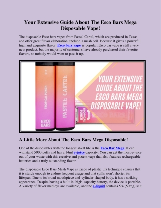 Your Extensive Guide About The Esco Bars Mega Disposable Vape!