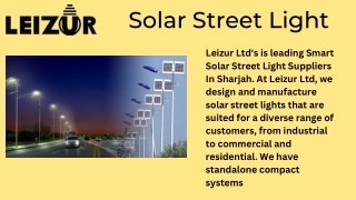Smart Solar Street Light Suppliers In Sharjah | Leizur in UAE