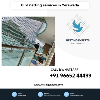 Bird netting services in Yerawada - Call Now 9665244499