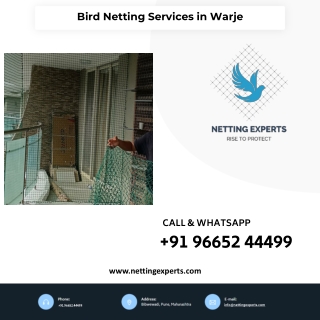 Bird Netting Services in Warje  - Call Now  9665244499