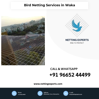 Bird Netting Services in Waka - Call Now  9665244499