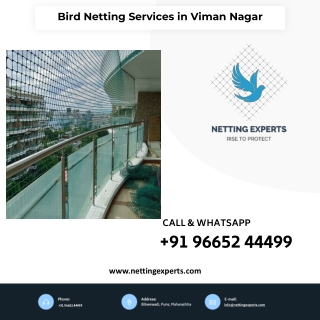 Bird Netting Services in Viman Nagar - Call Now  9665244499