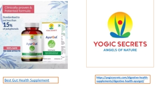 Best Gut Health Supplement