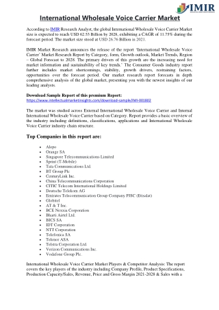 International Wholesale Voice Carrier Market
