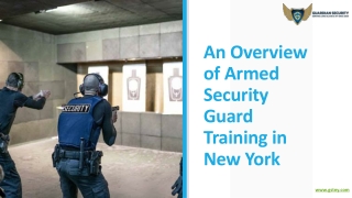 An Overview of Armed Security Guard Training in NY