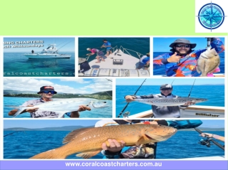 Full Day Fishing Charter