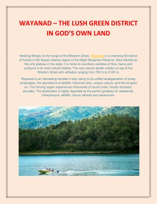 WAYANAD – THE LUSH GREEN DISTRICT IN GOD’S OWN LAND