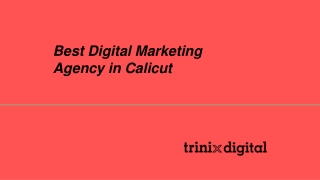 Best Digital Marketing Agency in Calicut