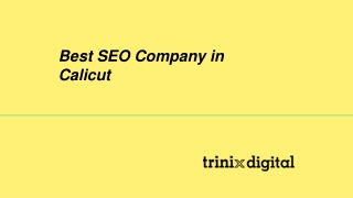 Best SEO Company in Calicut