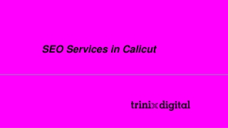 Best SEO Services in Calicut | Trinix Digital