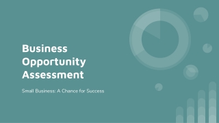 Business Opportunity Assessment_
