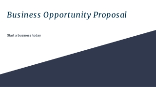 Business Opportunity Proposal