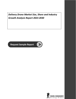 Delivery Drone Market Size, Share and Industry Growth Analysis Report 2023-2030