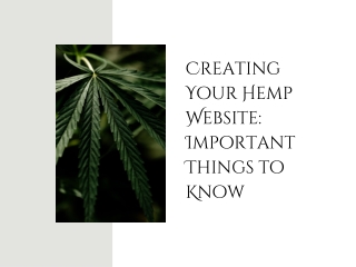 Creating Your Hemp Website Important Things to Know