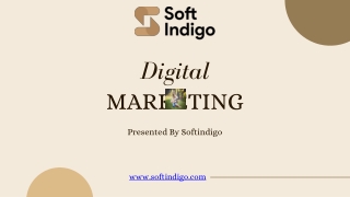 Presented By Softindigo Digital Marketing Agency in India