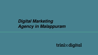 Digital Marketing Agency in Malappuram