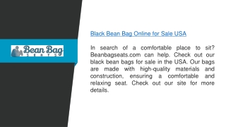 Black Bean Bag Online For Sale Usa  Beanbagseats.com