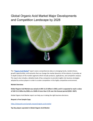 Global Organic Acid Market Major Developments and Competition Landscape by 2028