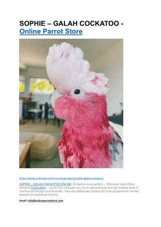 SOPHIE – GALAH COCKATOO