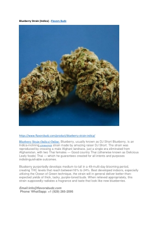 Blueberry Strain