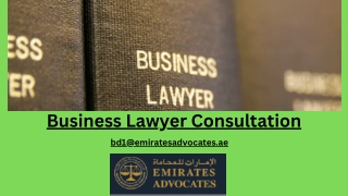 Business Lawyer Consultation