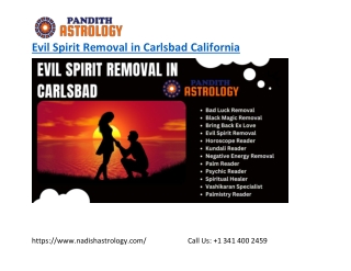 Best Evil Spirit Removal in Carlsbad California - nadishastrology