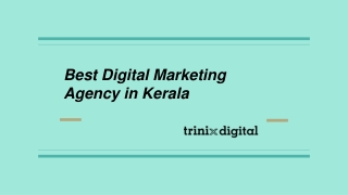 Best Digital Marketing Agency in Kerala