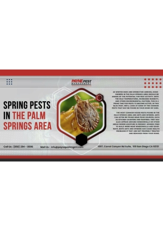 Orange County Pest Control - paynepest