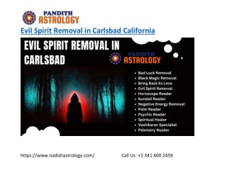 Best Evil Spirit Removal in Carlsbad California - nadishastrology