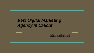 Best Digital Marketing Agency in Calicut