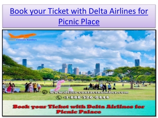 Book your  flight Ticket for New York  with  Delta  Airlines