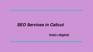 Increase Your Website Ranking With SEO Services
