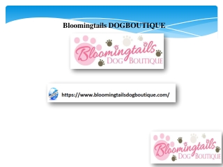 Designer Dog Harness and Leash, bloomingtailsdogboutique.com