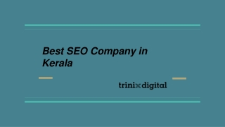 Best SEO Company in Kerala