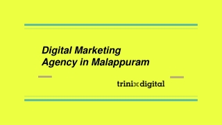 Digital Marketing Agency in Malappuram