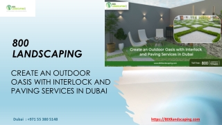 Create an Outdoor Oasis with Interlock and Paving Services in Dubai