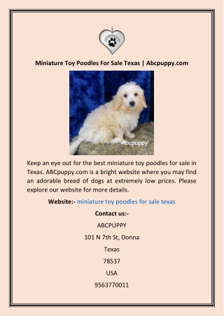 Miniature Toy Poodles For Sale Texas  Abcpuppy