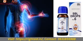 Homeopathy SBL Drops No. 6 For Arthritis, Sprain, Joint Pain  RightAid