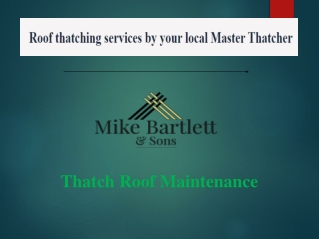 Thatch Roof Maintenance